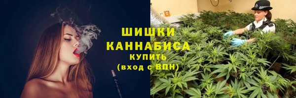 прущая мука Мегион