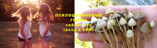 спайс Медногорск