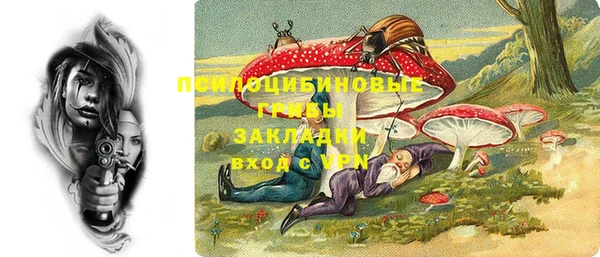 соль ск Медвежьегорск