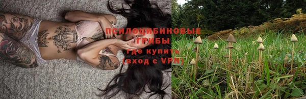 спайс Медногорск